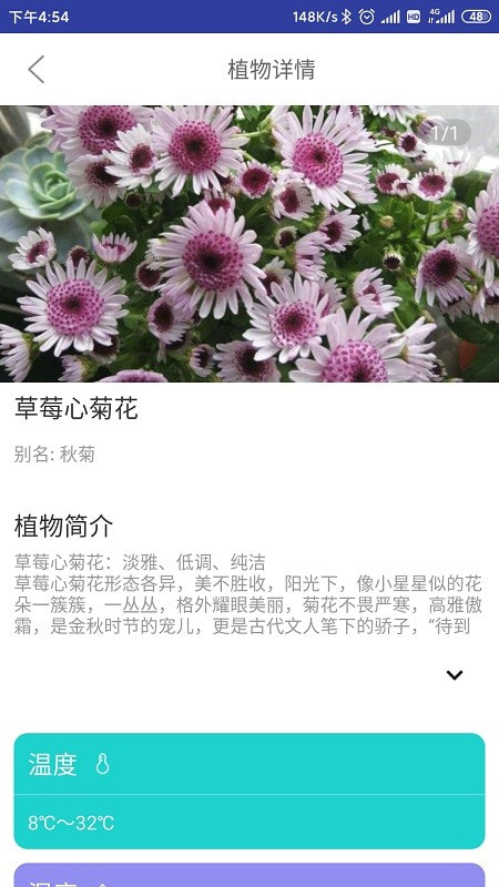 森林甜心app下载2