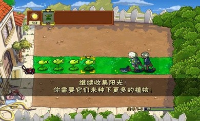 植物大战僵尸升天版2