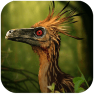 伤齿龙模拟器(Troodon Simulator)