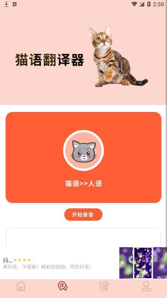 摸摸小猫截图2