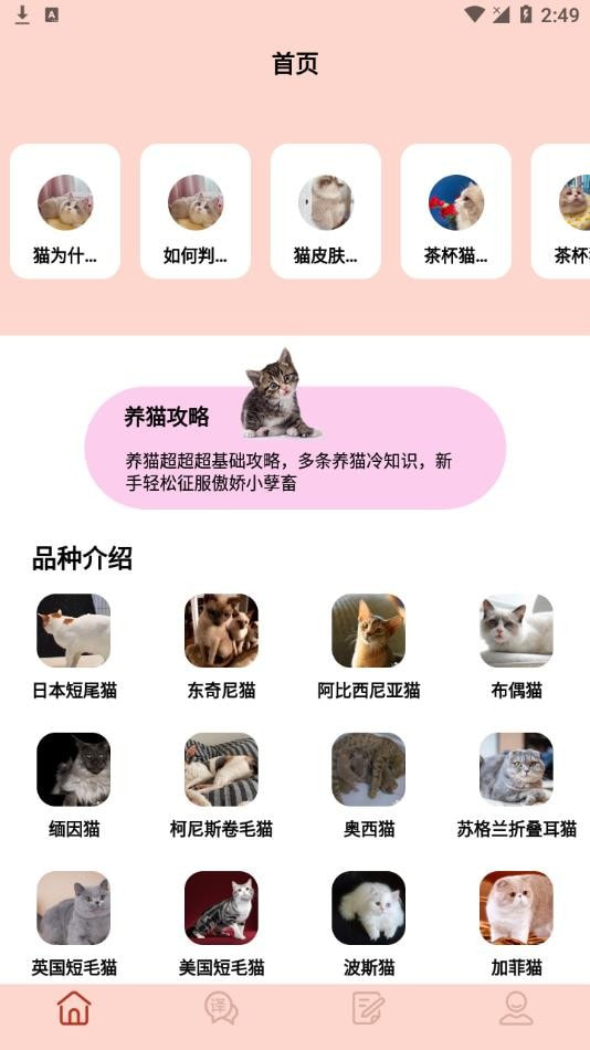 摸摸小猫截图1