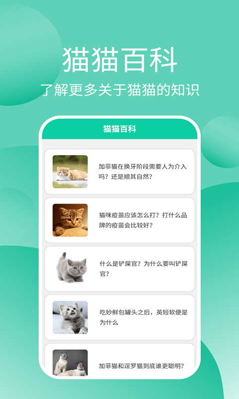 猫猫交流器3