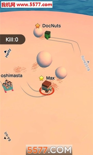 Ball Fight.io2