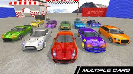 拉力赛车特技Rally Car Stunts截图3