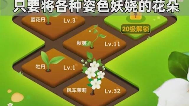 幸运花园天降红包截图2