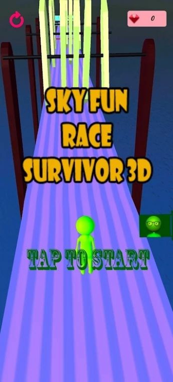 3D空中趣味障碍赛(Sky Fun Race Survivor 3D)1