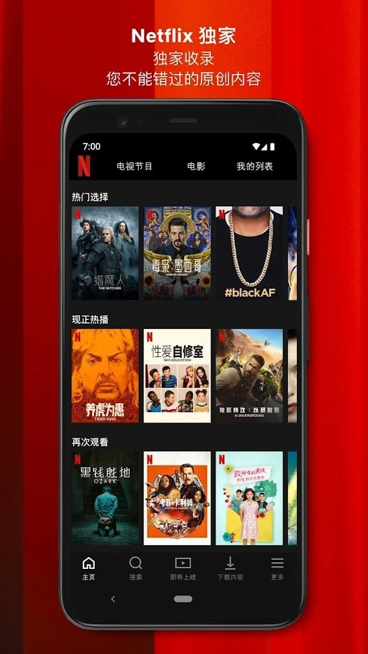 netflix中文网页版1