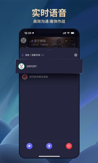 DSPORT截图3