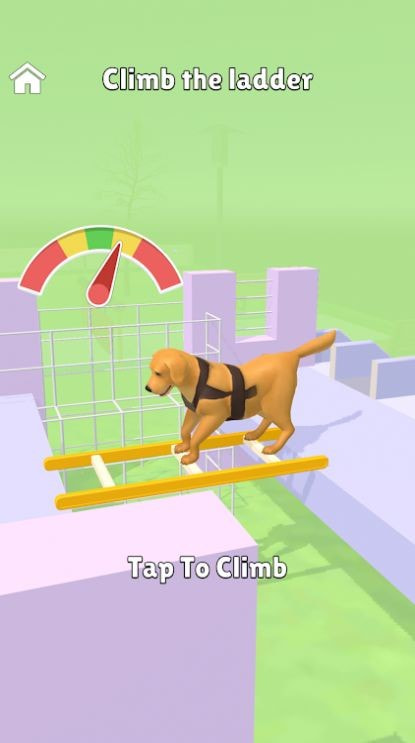 超级狗训练(Hyper Dog Training)截图3