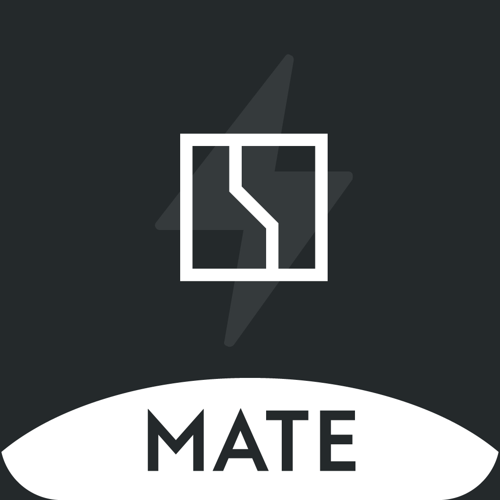 极氪能源Mate