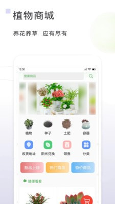 一花草截图3