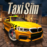 出租车游戏模拟器Taxi Game