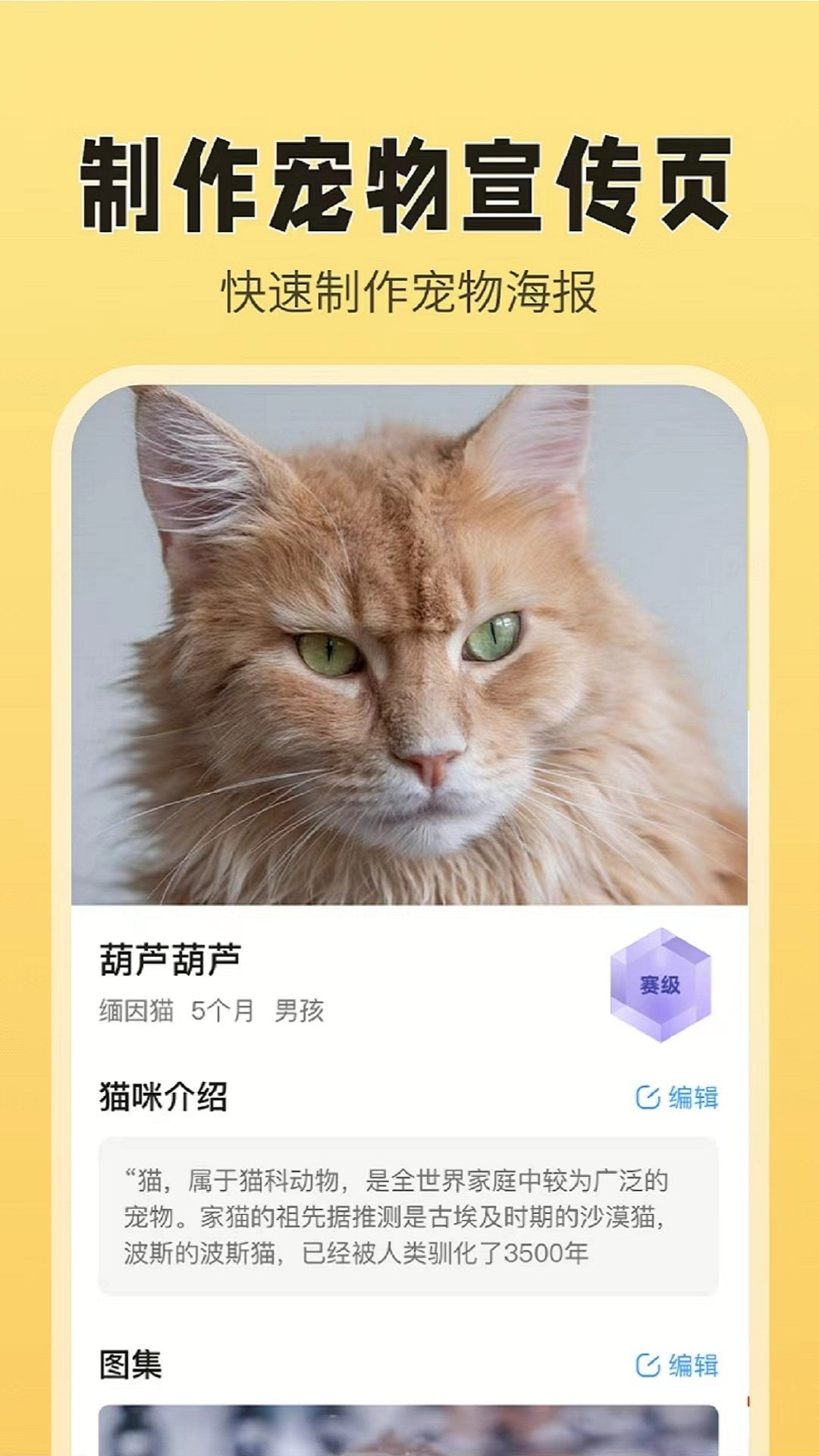 猫老板截图2