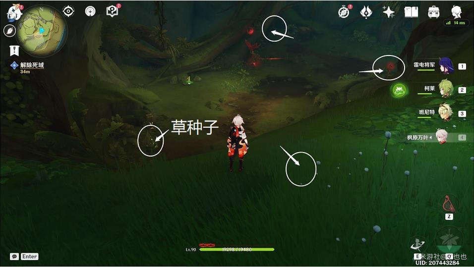 原神吉祥具书罗因贾篇阴卷任务怎么做