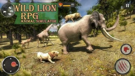 野生狮子RPGWild Lion RPG截图2