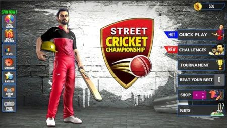 街头板球锦标赛Street Cricket截图1