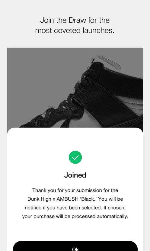 Nike SNKRS1