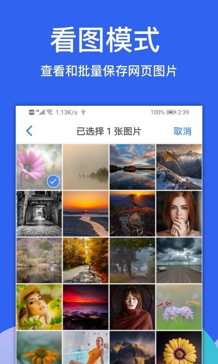 Alook浏览器安卓版本截图2