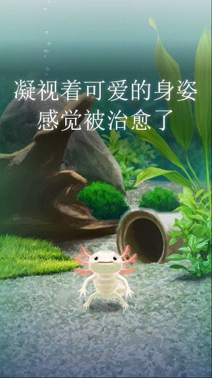 治愈的蝾螈育成1