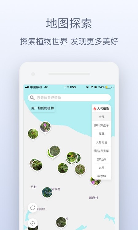 花伴侣截图1