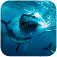 巨鲨模拟器(Megalodon Simulator)