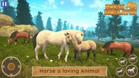 骑马世界模拟器Horse Simulator2