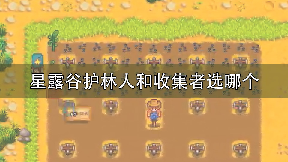 星露谷护林人和收集者选哪个