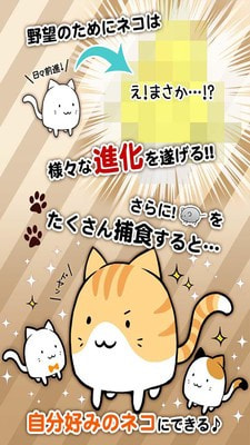 这是猫咪吗これにゃん0