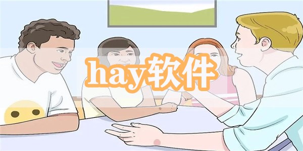 hay软件