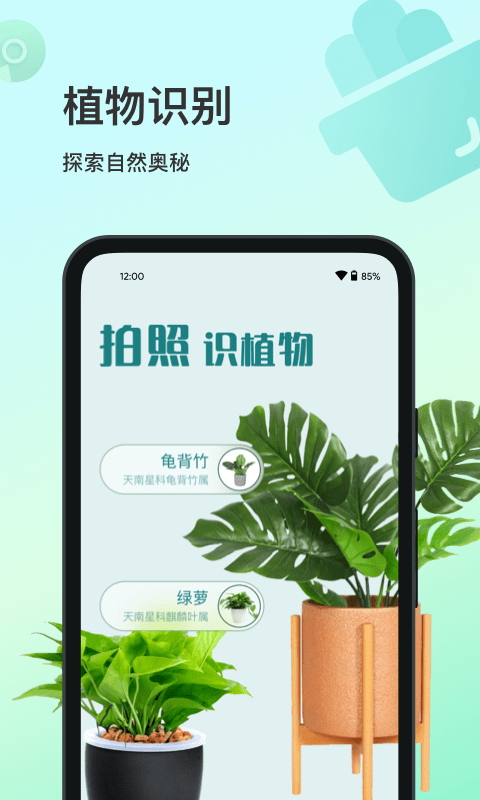 花卉识别截图4