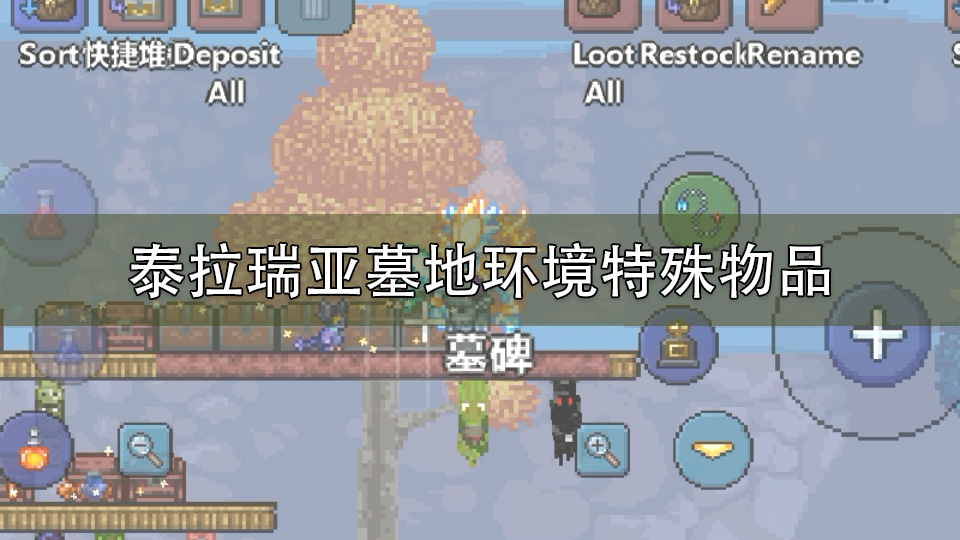 泰拉瑞亚墓地环境特殊物品