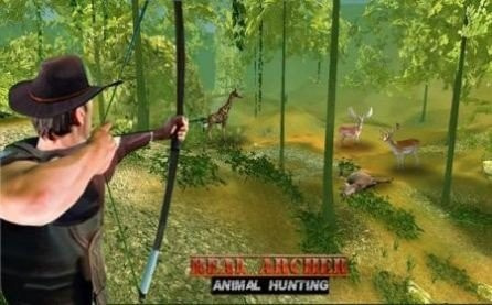 真正的弓箭手动物狩猎(Real Archer Animal Hunting)2