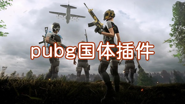 pubg国体插件