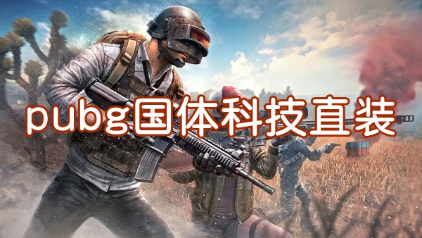 pubg国体直装