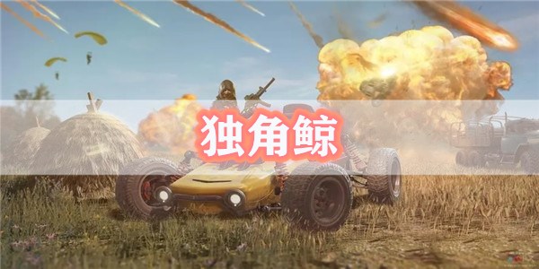 独角鲸pubg辅助