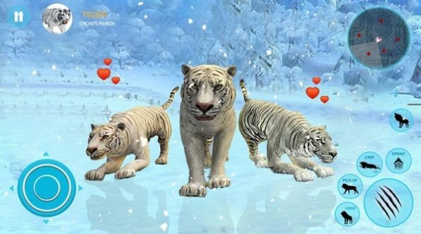 野生白虎家庭模拟Wild White Tiger Family Sim截图1