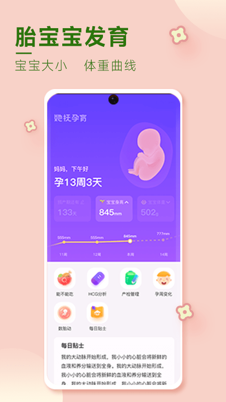 她抚孕育截图1