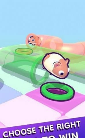 管道仓鼠(TubeHamster)截图2