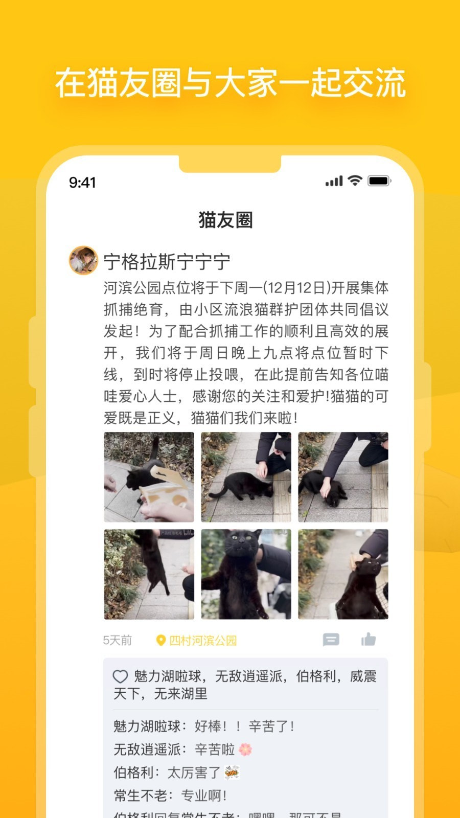 街猫截图2