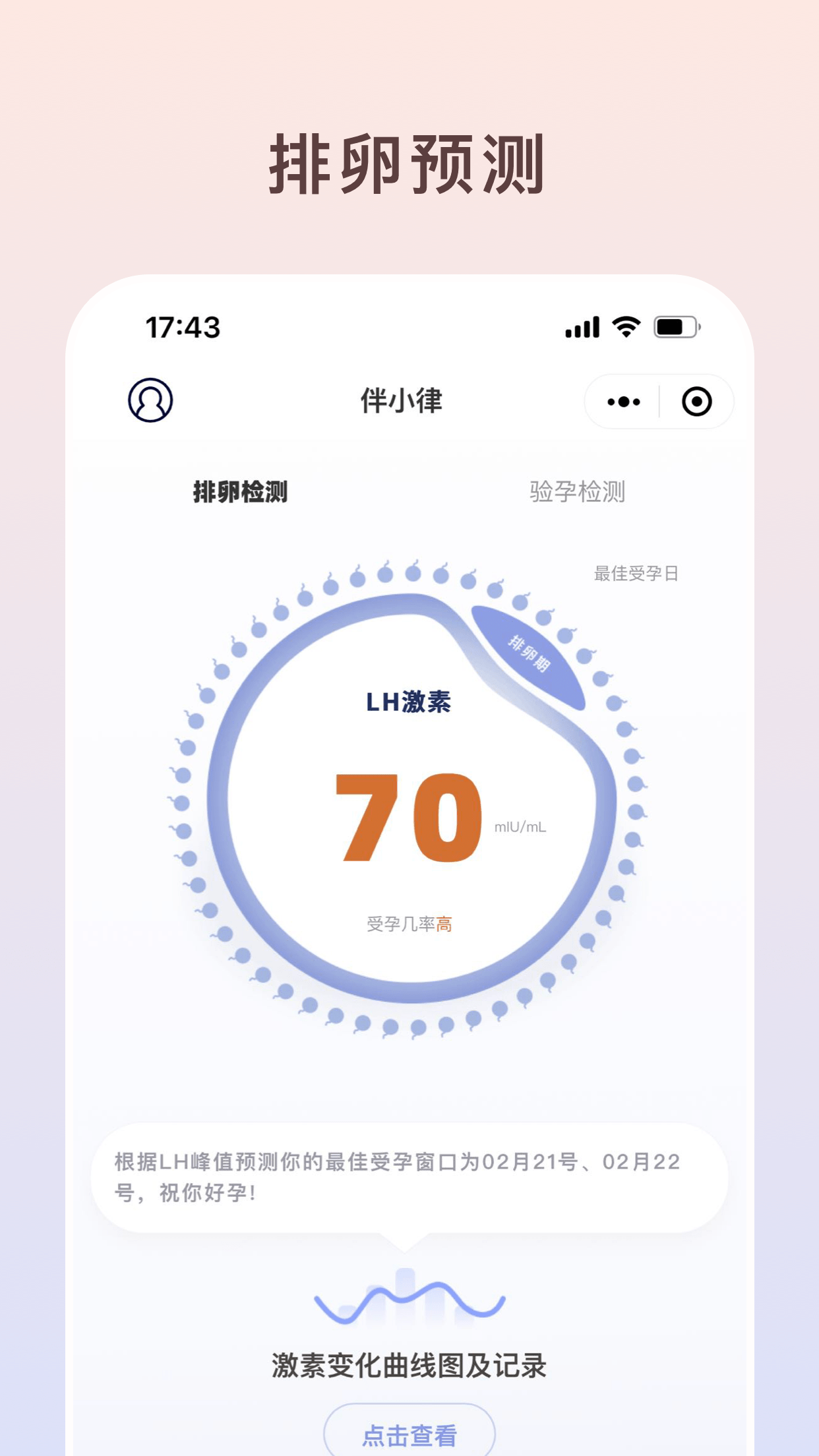 伴小律截图4