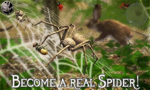 终极蜘蛛模拟器2(Spider Colony Simulation 3D)截图2