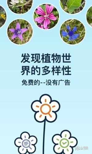 Flora Incognita植物识别截图4