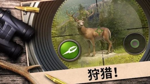 猎手冲突Hunting Clash截图3