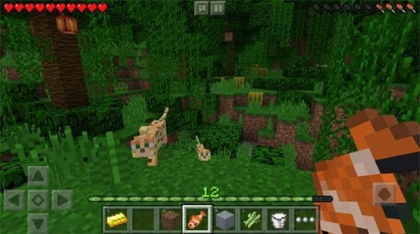 我的世界1.20.0.23国际版(Minecraft)截图3