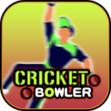 棒球投球手Cricket Bowler