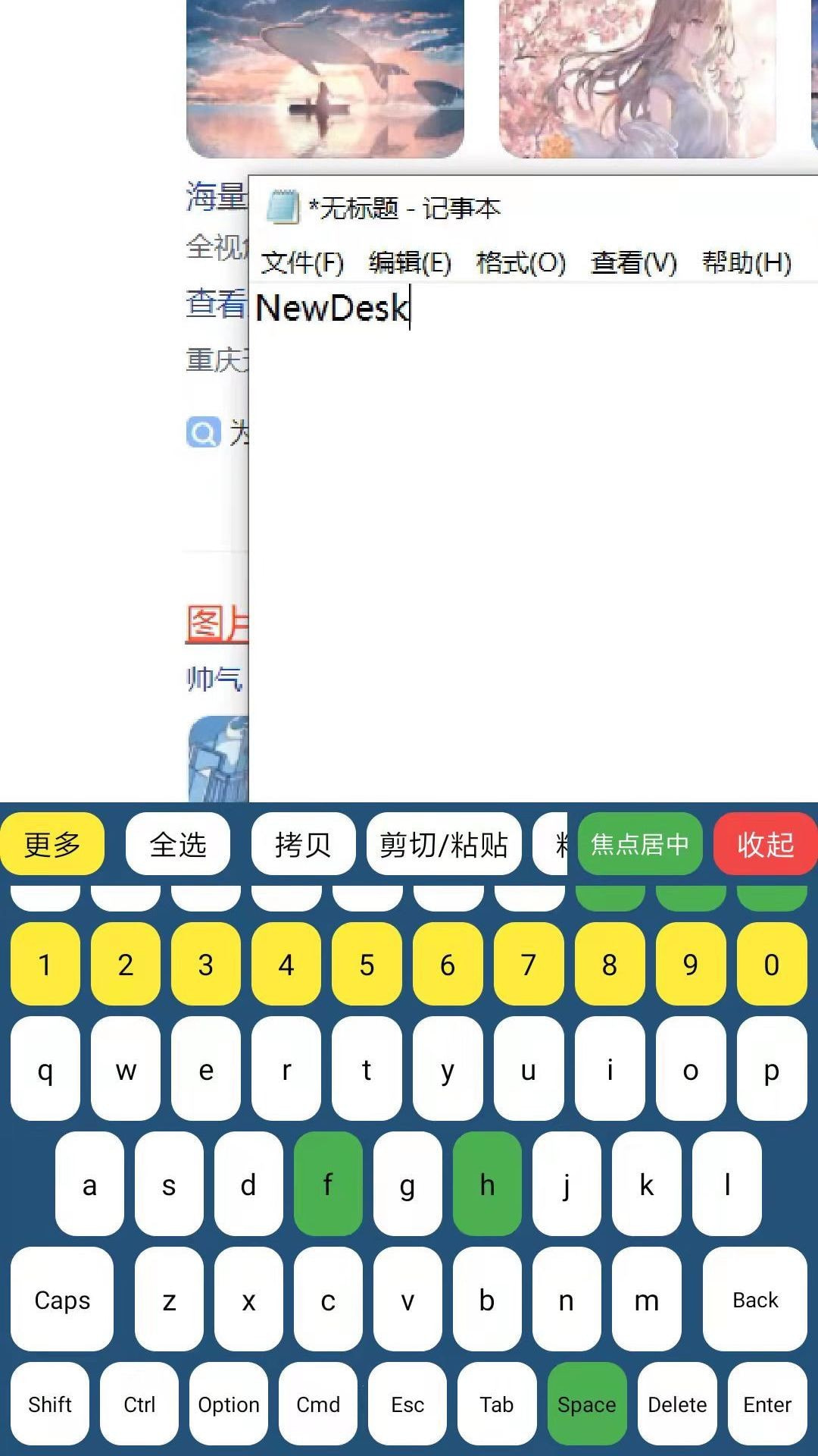 NewDesk远程控制截图2