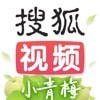 搜狐视频软件下载