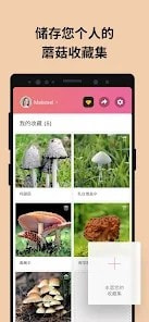 Picture Mushroom蘑菇识别扫一扫免费最新版4