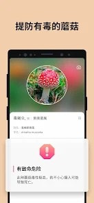 Picture Mushroom蘑菇识别扫一扫免费最新版1