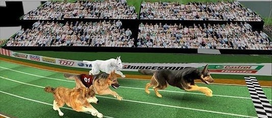 赛狗宠物赛跑模拟器（Dog Racing Pet Race Simulator）截图3